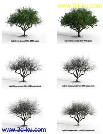 3D打印模型Hybrid Trees - Pruned的图片