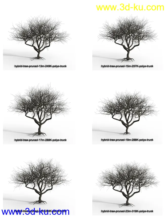 Hybrid Trees - Pruned模型的图片14