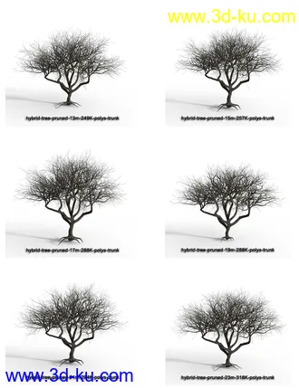 3D打印模型Hybrid Trees - Pruned的图片