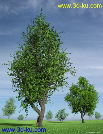 3D打印模型Hybrid Trees Collection的图片