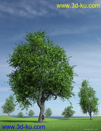 3D打印模型Hybrid Trees Collection的图片