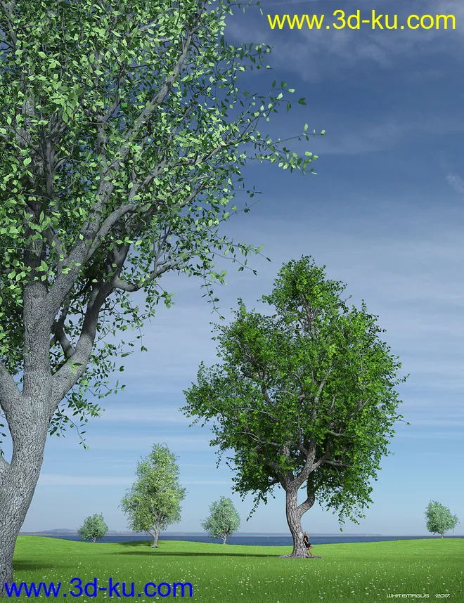 Hybrid Trees Collection模型的图片3