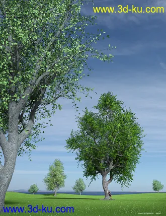 3D打印模型Hybrid Trees Collection的图片