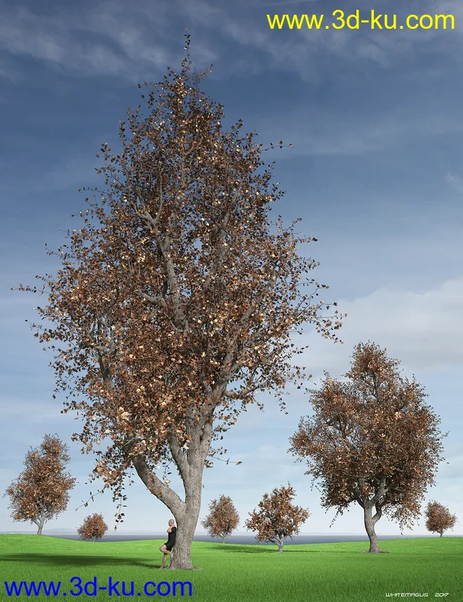 Hybrid Trees Collection模型的图片4