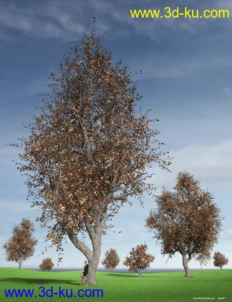 3D打印模型Hybrid Trees Collection的图片