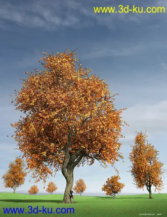 3D打印模型Hybrid Trees Collection的图片