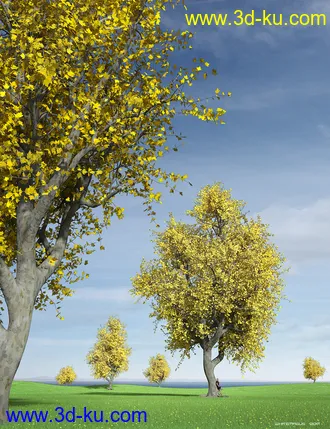 3D打印模型Hybrid Trees Collection的图片