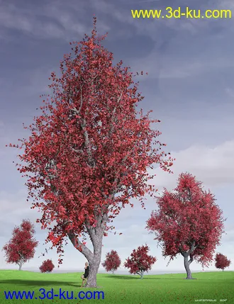 3D打印模型Hybrid Trees Collection的图片