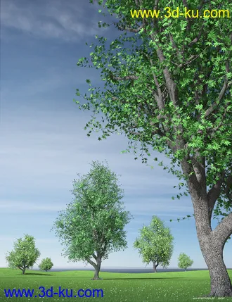 3D打印模型Hybrid Trees Collection的图片