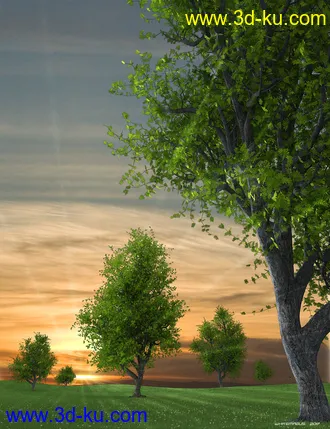 3D打印模型Hybrid Trees Collection的图片