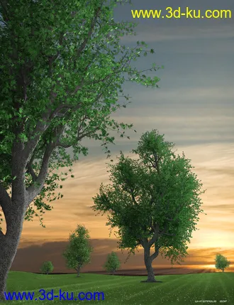 3D打印模型Hybrid Trees Collection的图片