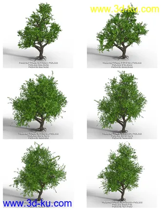 3D打印模型Hybrid Trees Collection的图片