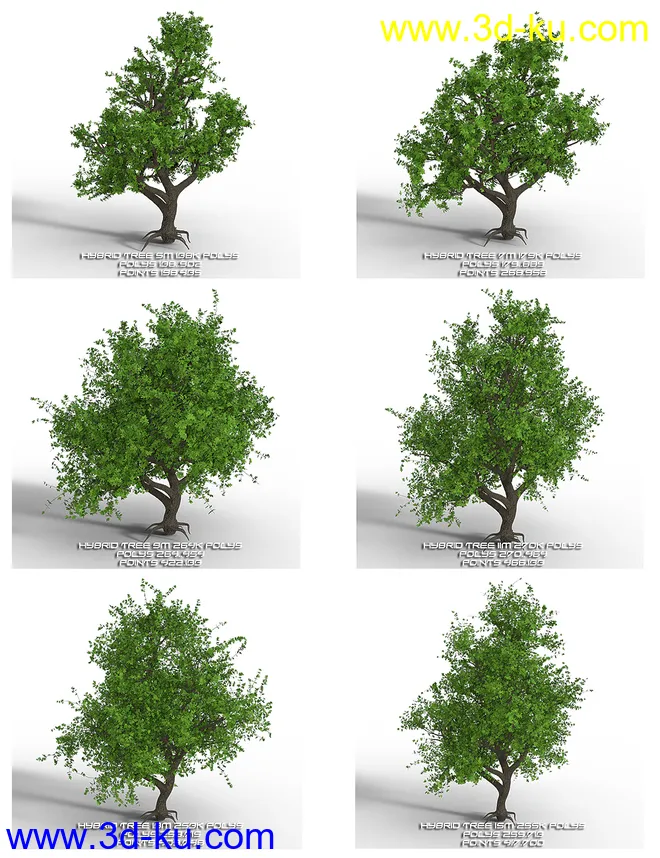 Hybrid Trees Collection模型的图片16