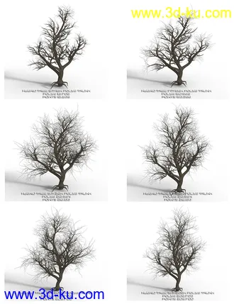 3D打印模型Hybrid Trees Collection的图片