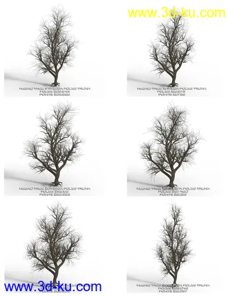 3D打印模型Hybrid Trees Collection的图片