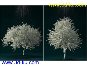 3D打印模型Hybrid Trees Ultimate的图片