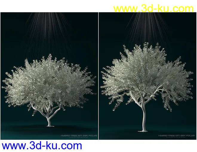 Hybrid Trees Ultimate模型的图片6