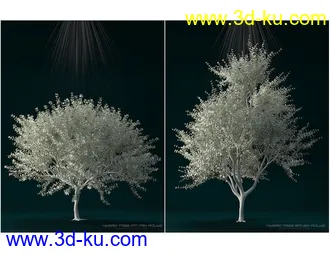 3D打印模型Hybrid Trees Ultimate的图片
