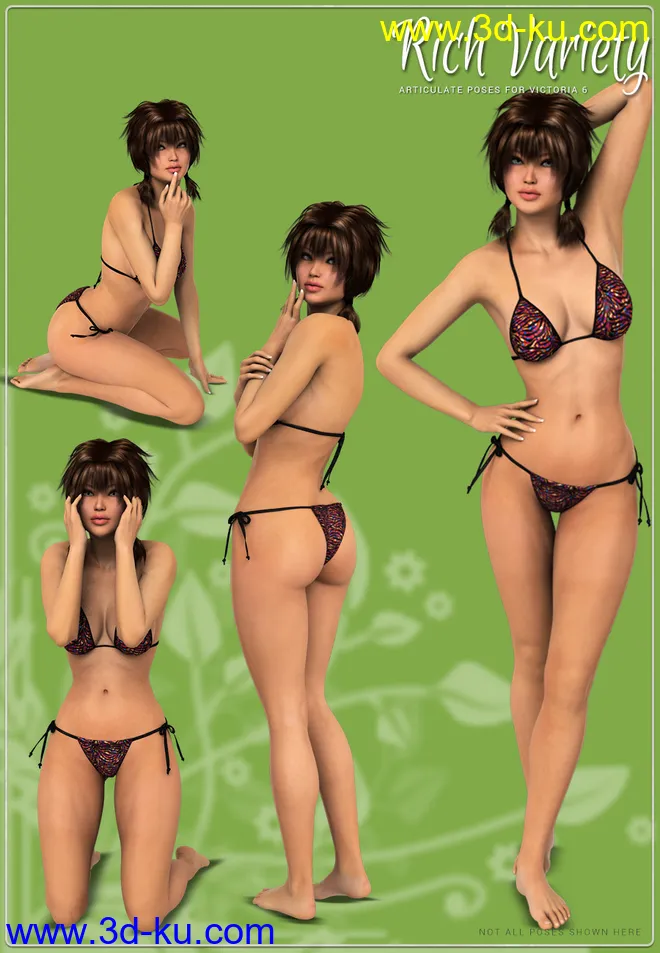 i13 Rich Variety模型的图片3