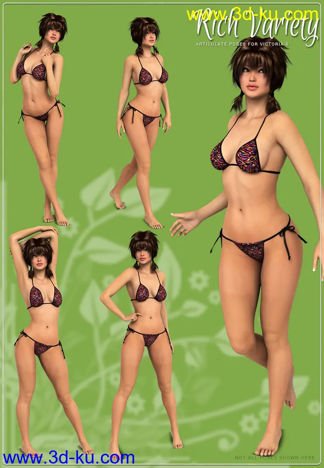 i13 Rich Variety模型的图片6