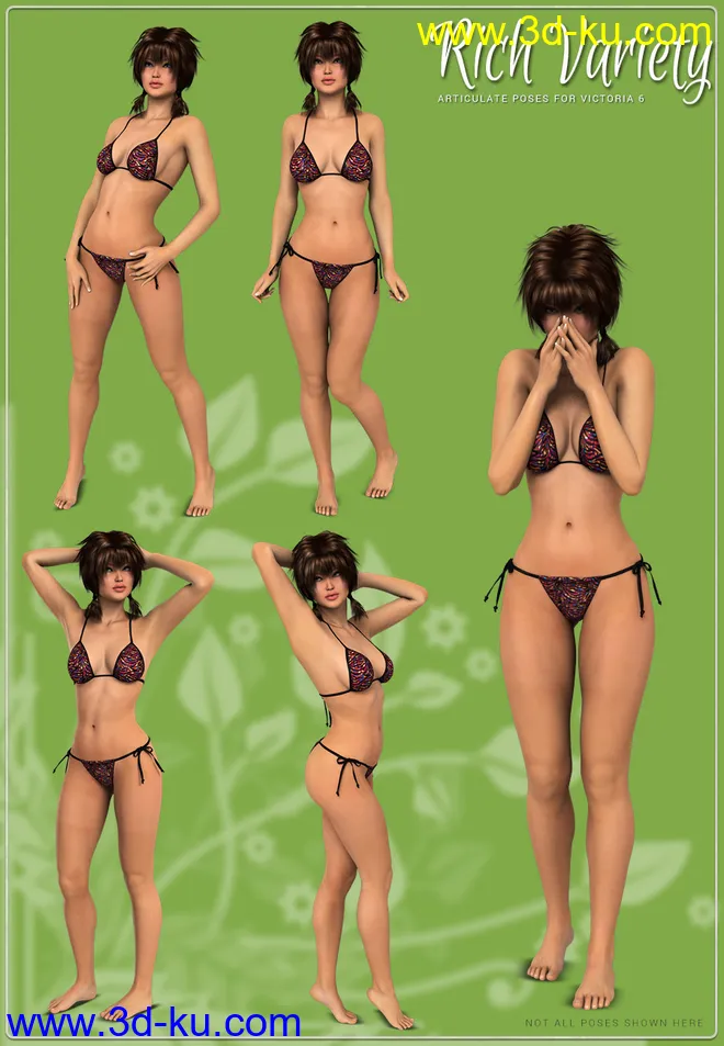 i13 Rich Variety模型的图片7