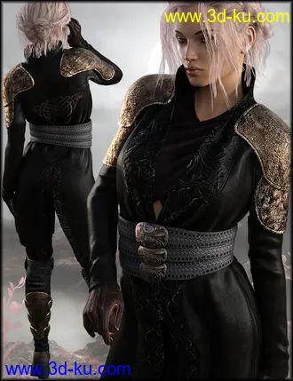 3D打印模型Ida Outfit Textures的图片