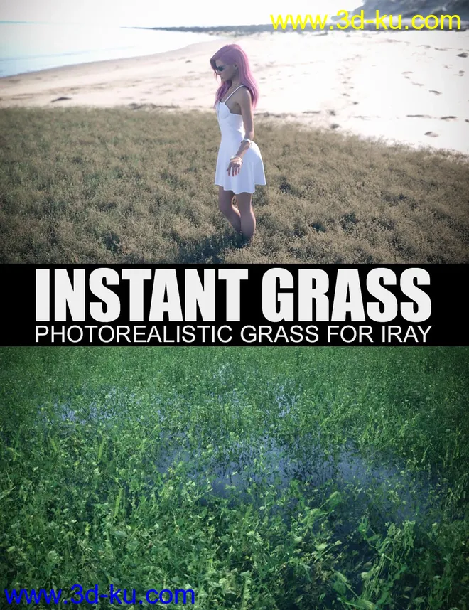Instant Grass - Photorealistic Grass For Iray模型的图片1