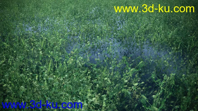 Instant Grass - Photorealistic Grass For Iray模型的图片7