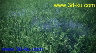 3D打印模型Instant Grass - Photorealistic Grass For Iray的图片