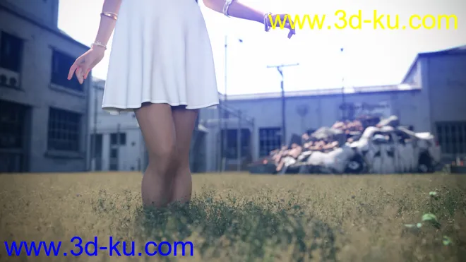 Instant Grass - Photorealistic Grass For Iray模型的图片11