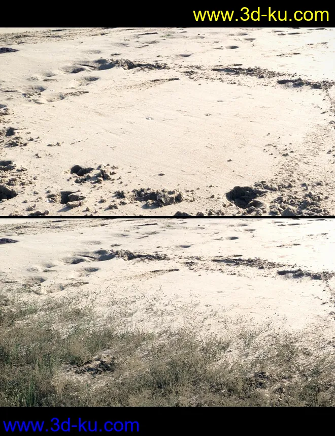 Instant Grass - Photorealistic Grass For Iray模型的图片13