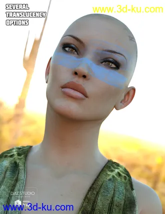 Iray Converter for Genesis and Generation 4 Bundle模型的图片5