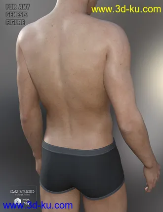 3D打印模型Iray Converter for Genesis and Generation 4 Bundle的图片