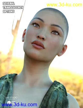 Iray Converter for Genesis and Generation 4 Bundle模型的图片31