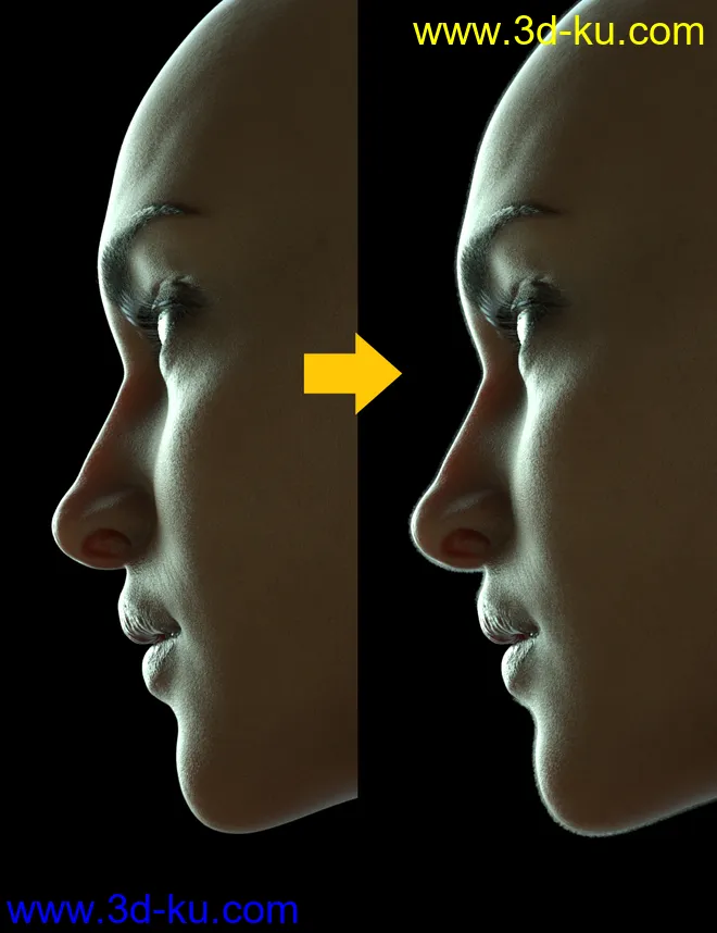 Iray Vellus Horizon Shader System for Genesis 8 Female模型的图片1