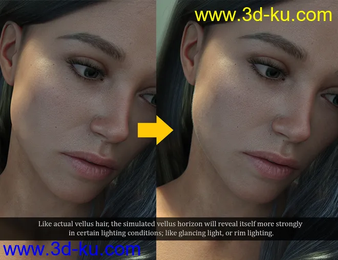 Iray Vellus Horizon Shader System for Genesis 8 Female模型的图片3