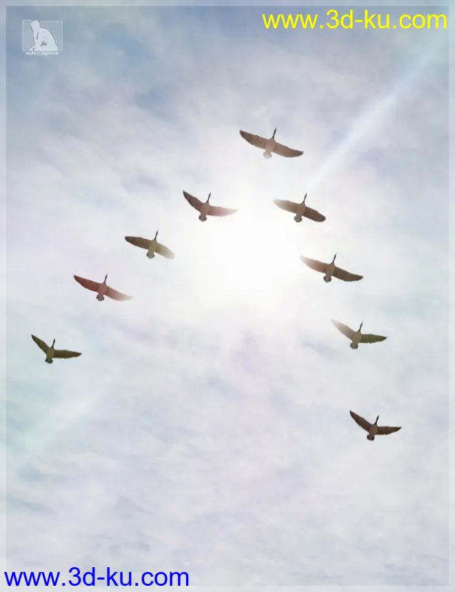 iREAL Animated Flocks of Birds模型的图片1