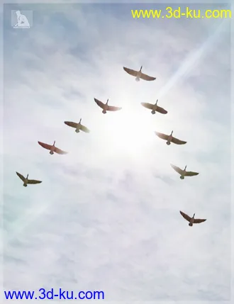 3D打印模型iREAL Animated Flocks of Birds的图片