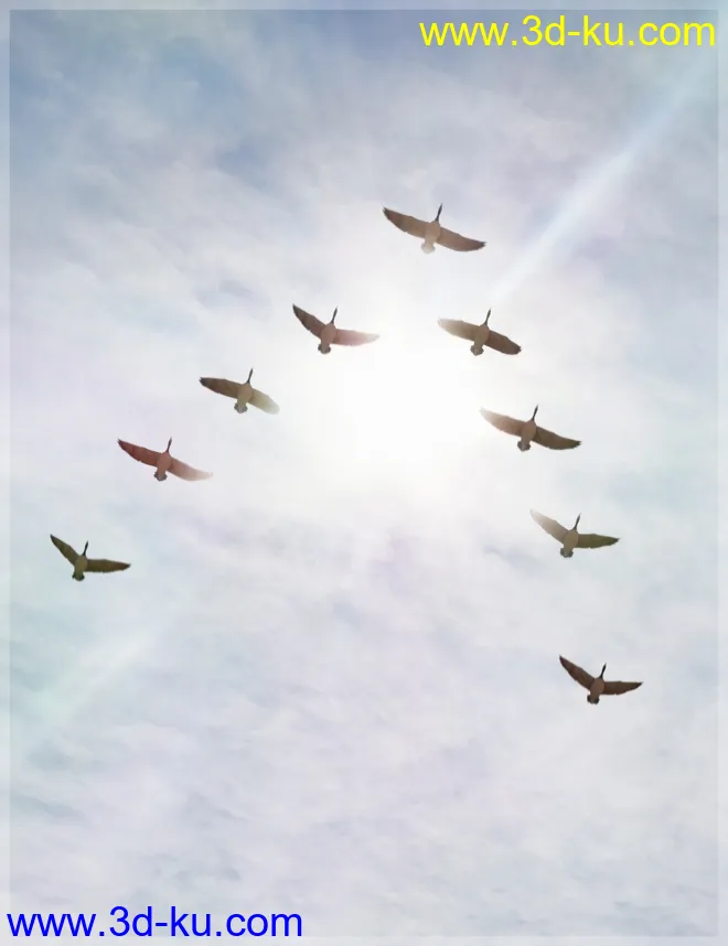 iREAL Animated Flocks of Birds模型的图片2