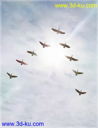 3D打印模型iREAL Animated Flocks of Birds的图片