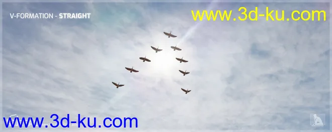 iREAL Animated Flocks of Birds模型的图片3