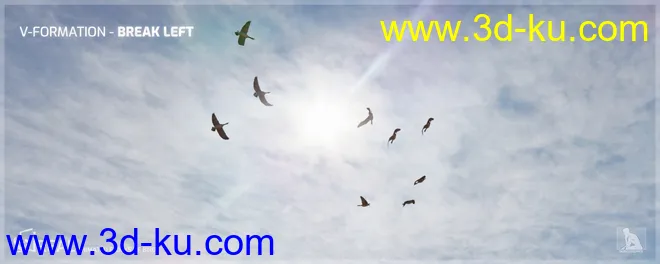 iREAL Animated Flocks of Birds模型的图片4