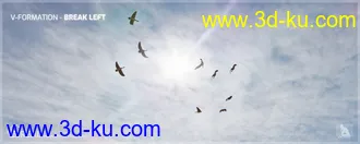 3D打印模型iREAL Animated Flocks of Birds的图片