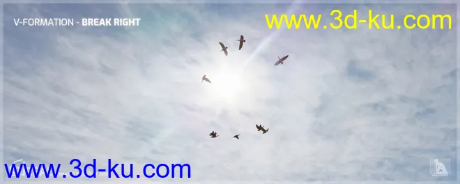 iREAL Animated Flocks of Birds模型的图片5