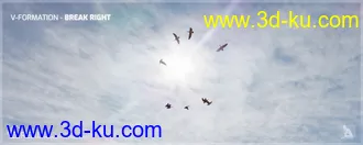 3D打印模型iREAL Animated Flocks of Birds的图片