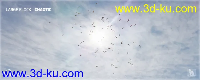 iREAL Animated Flocks of Birds模型的图片6