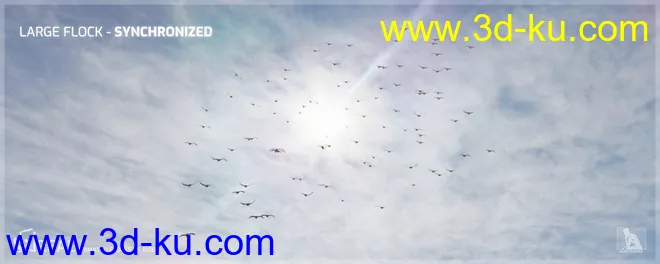 iREAL Animated Flocks of Birds模型的图片7