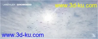 3D打印模型iREAL Animated Flocks of Birds的图片