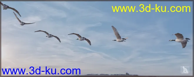 iREAL Animated Flocks of Birds模型的图片8