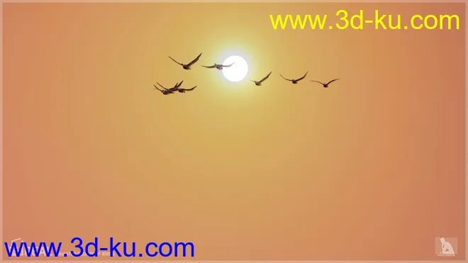 iREAL Animated Flocks of Birds模型的图片9
